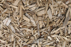 biomass boilers Adpar